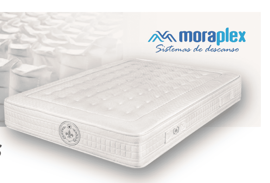 Colchón Ergopedic R Type Moraplex