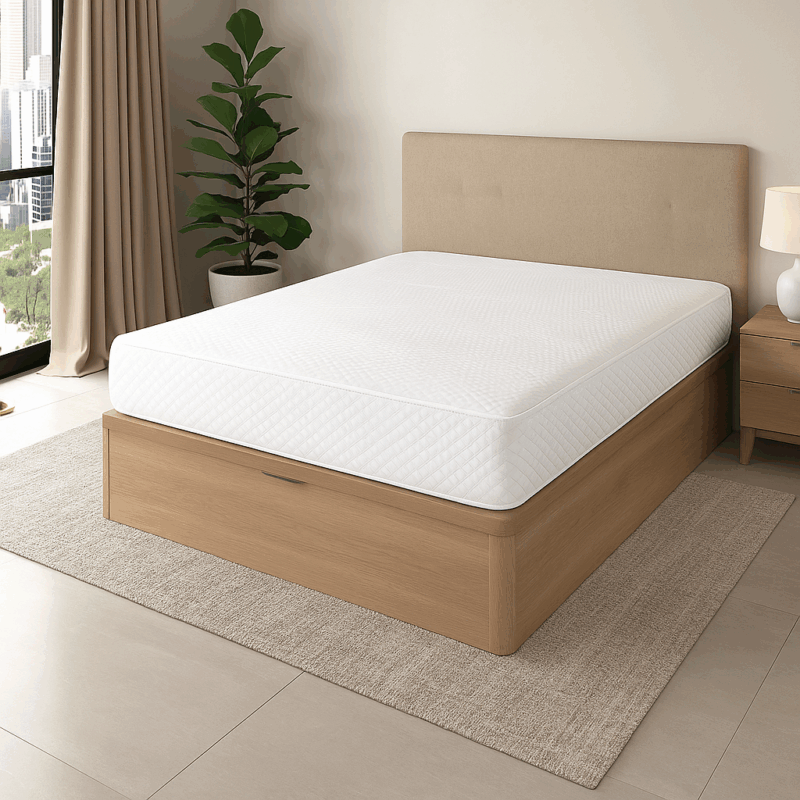 ALI-CANAPE-VENUS-OFERTA